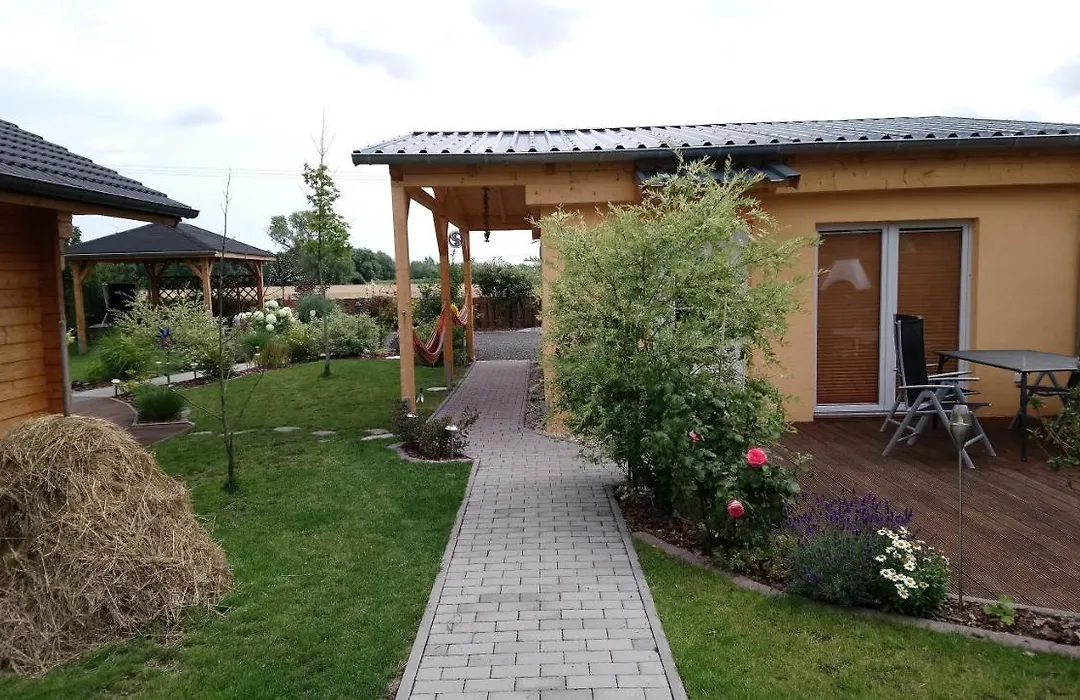 Ferienhäuser Linne-1